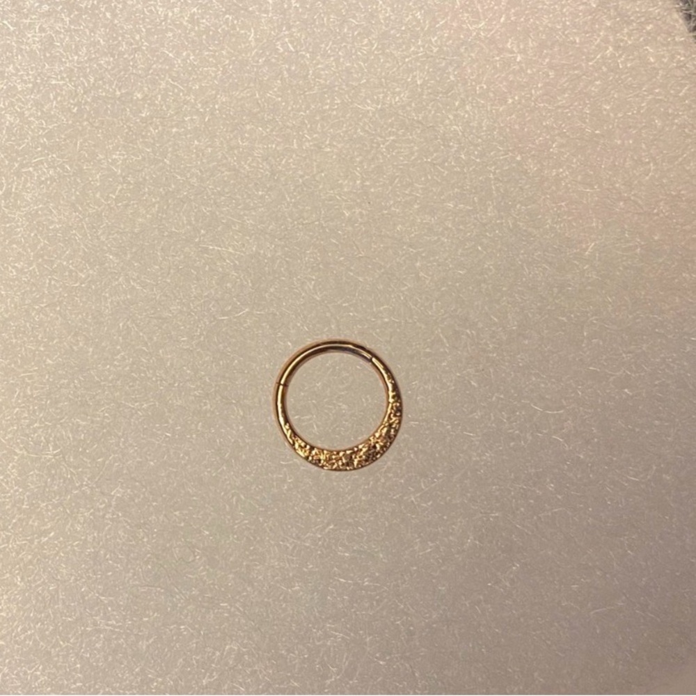 Rose Gold Septum Clicker 16 Gauge
Daith Rook Ear Ring 1.2 mm 8 mm